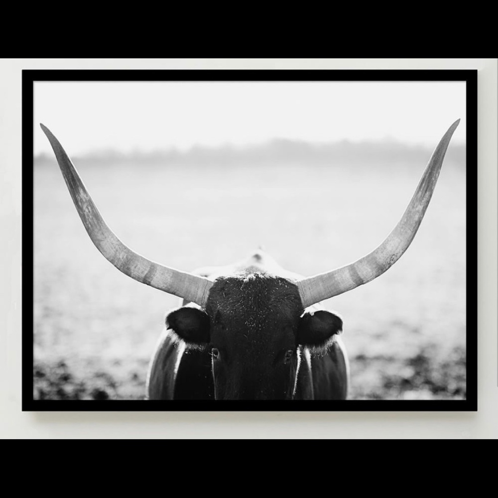 Staredown photographic print- Minted